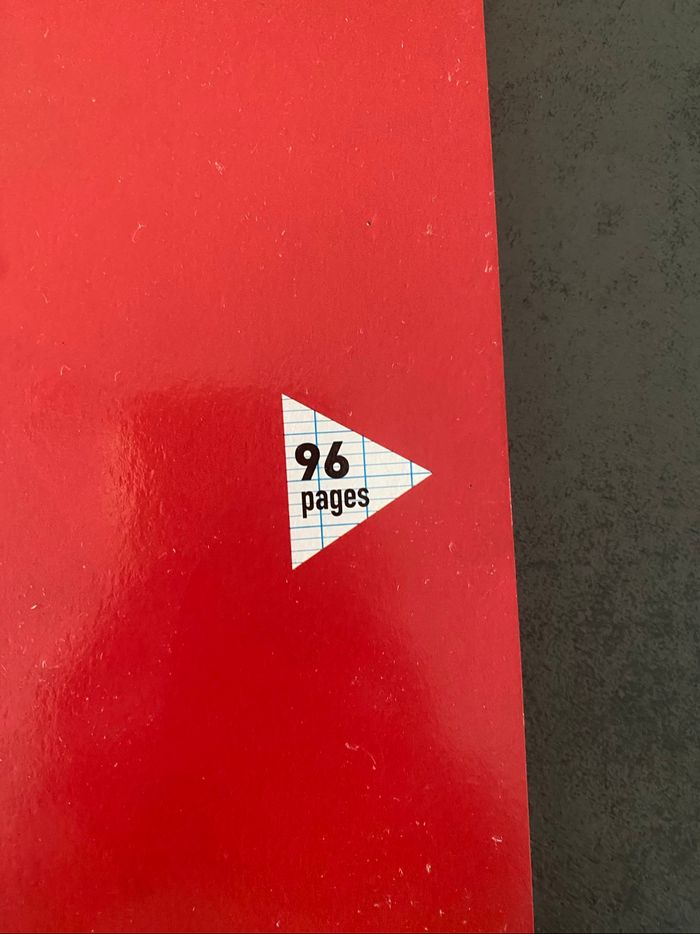 cahier 21*29 grands carreaux - photo numéro 2