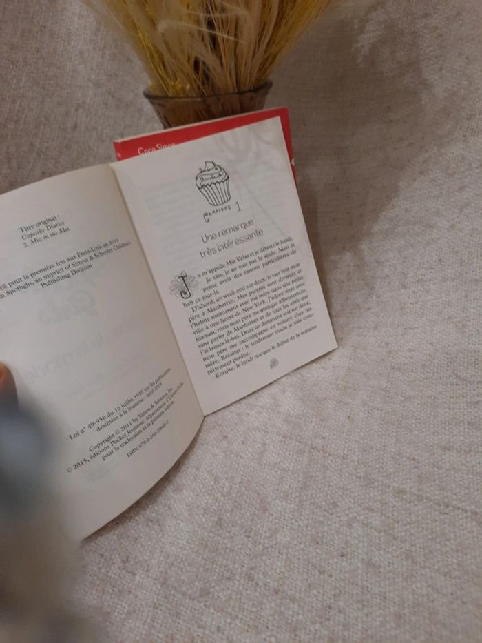 Lot de 2 livres cupcake girls tome 1 et 2 - photo numéro 5