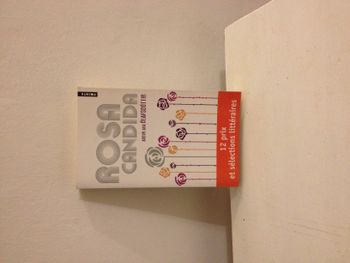 rosa candida Audur Ava Olafsdottir Zulma