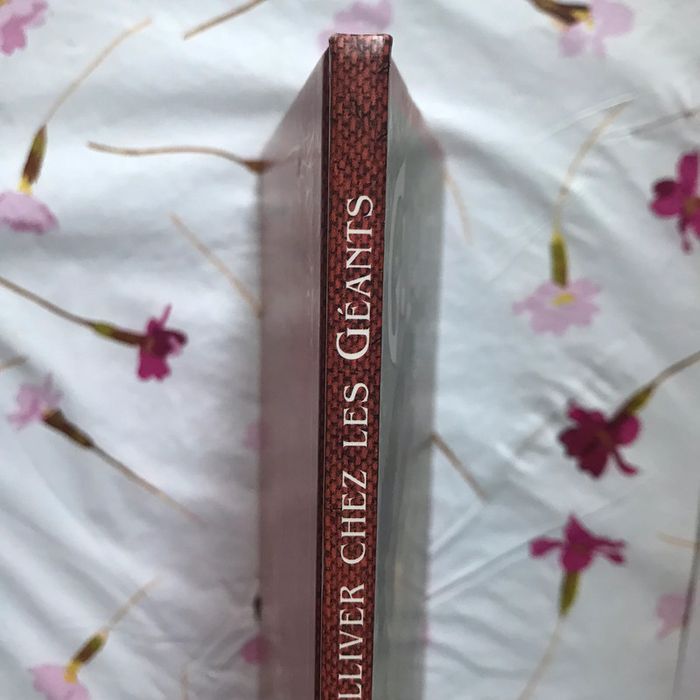 Livre « Gulliver chez les géants » - photo numéro 2