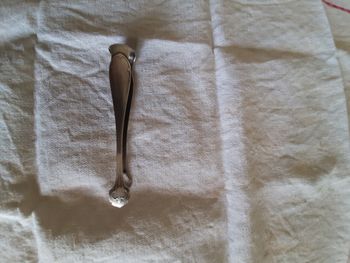 Pince à  sucre ancienne