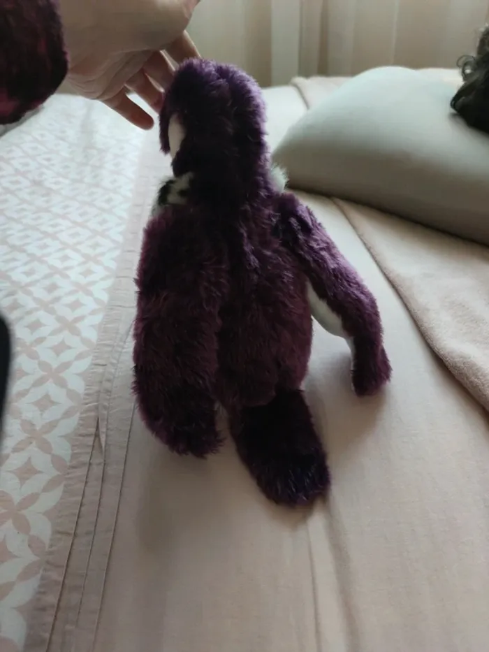 Peluches - photo numéro 3