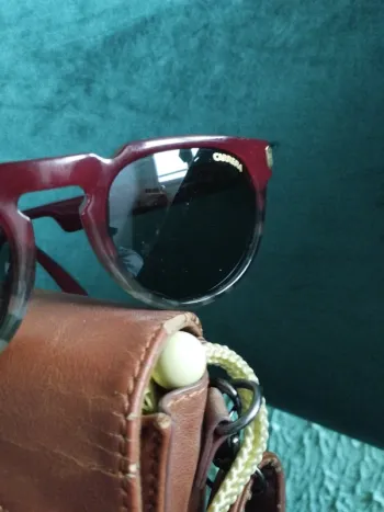 Lunettes de soleil Carrera