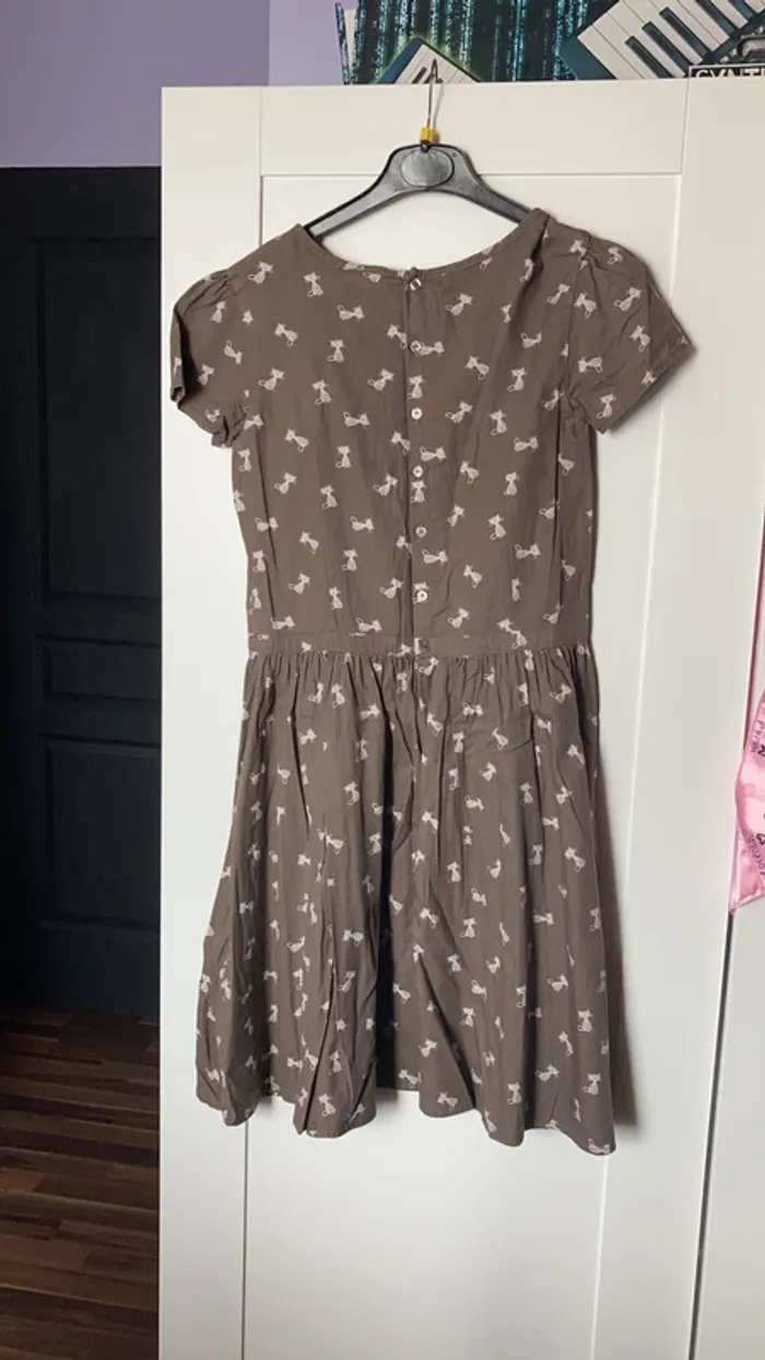 robe chat - photo numéro 4