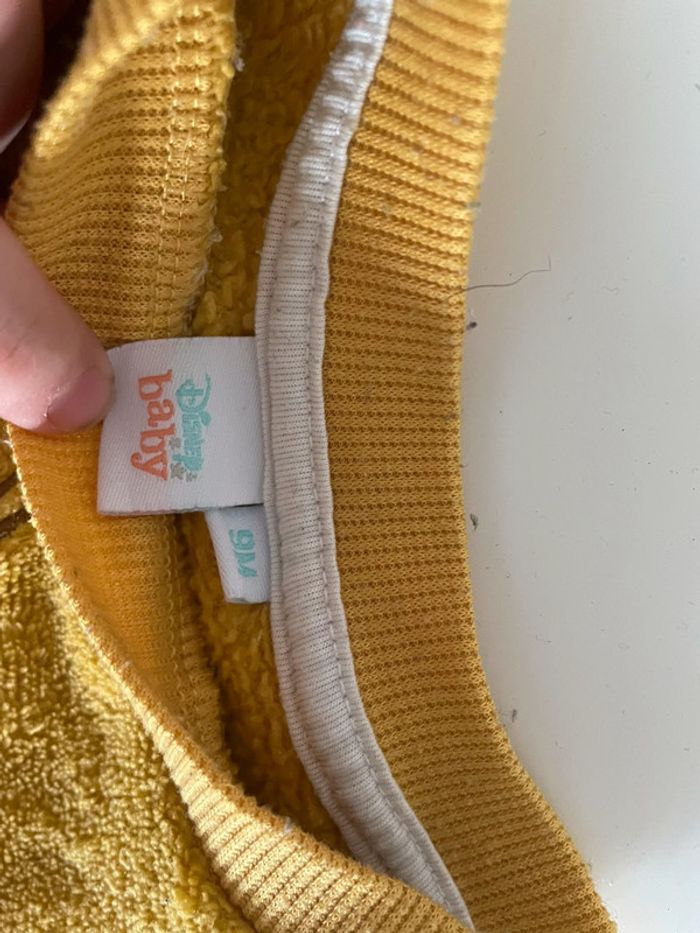 Pull roi lion - photo numéro 2