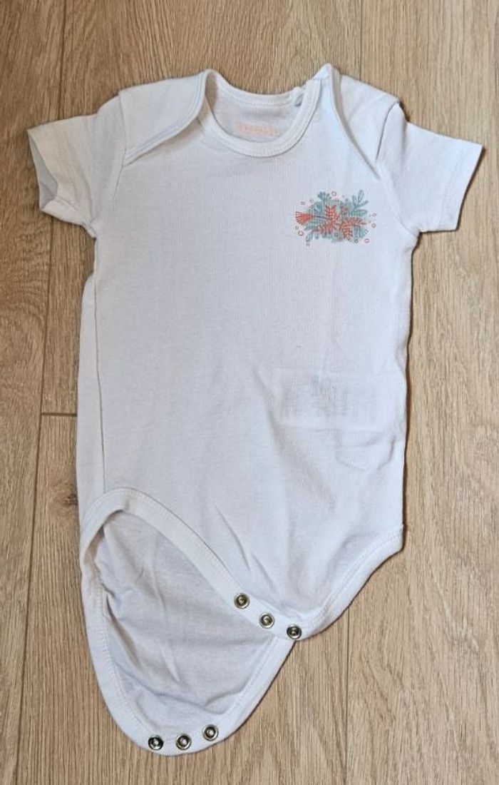 Body 2-6M