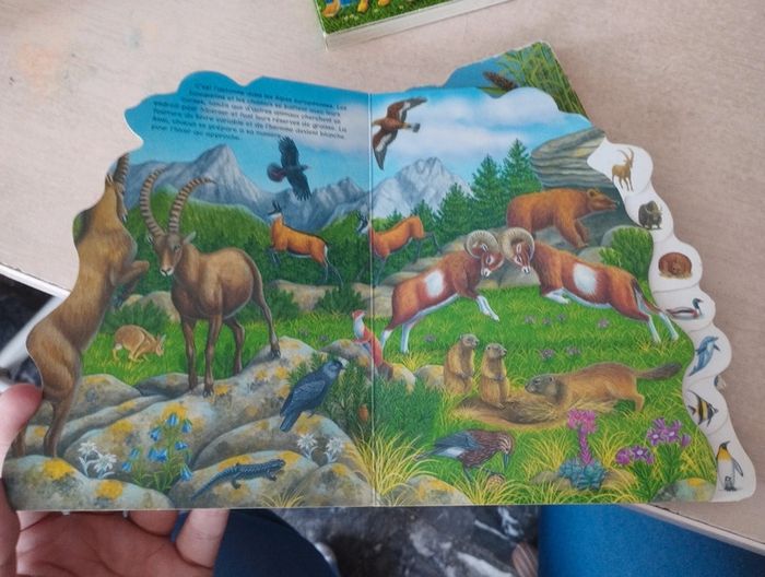 3 livres sur les animaux - photo numéro 6