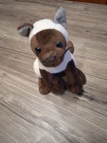 Peluche hauteur 20 cm