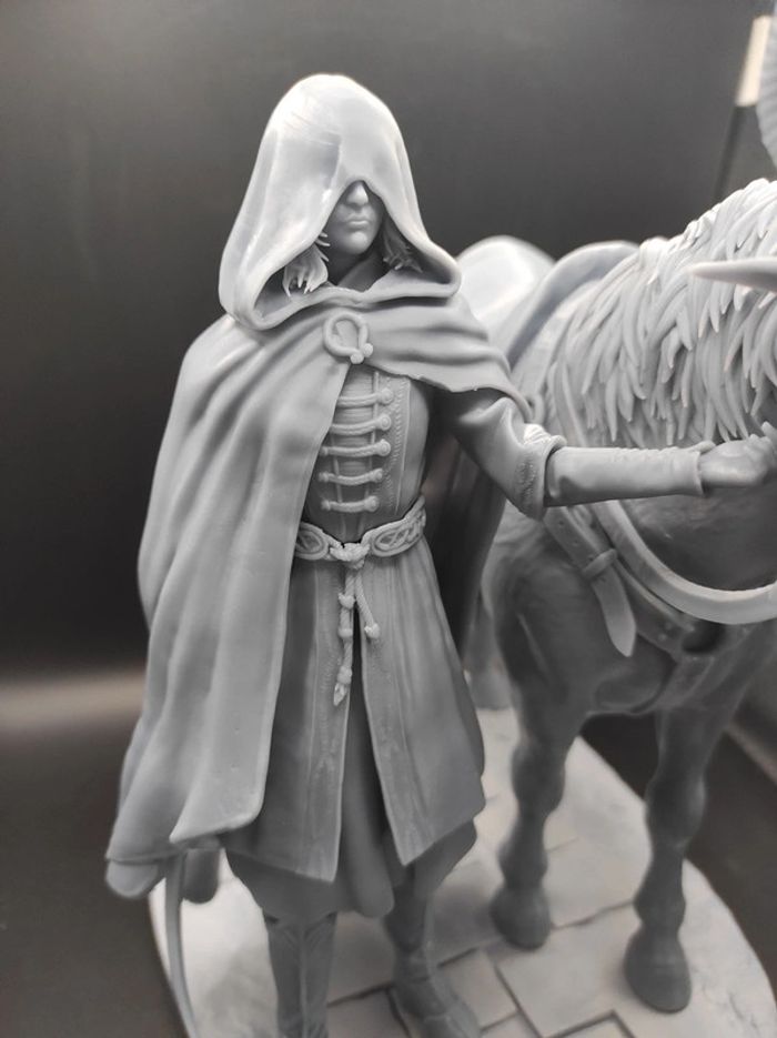 Figurine Mélina et Torrent Elden Ring - photo numéro 2