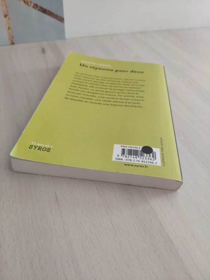 Livre jeunesse un royaume pour deux souris noire Syros Ledun - photo numéro 5