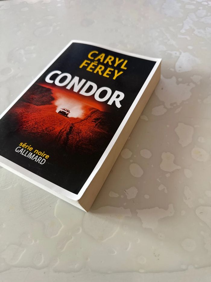 Livre condor - caryl férey - photo numéro 2
