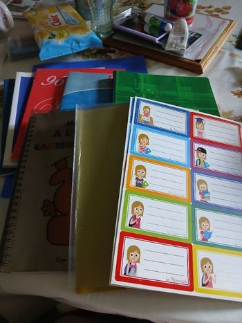 Lot cahier scolaire