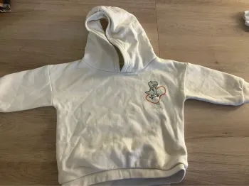 Sweat bébé garçon