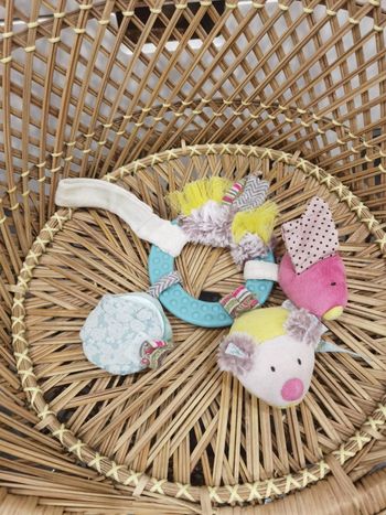 Anneau d'activités Moulin roty