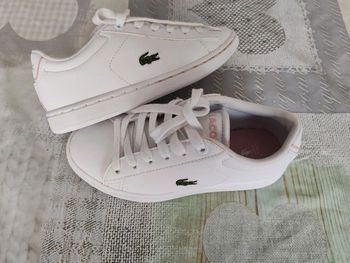 Baskets Lacoste pointure 29