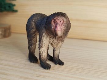 Schleich Singe macaque japonais Figurine Animal de la savane