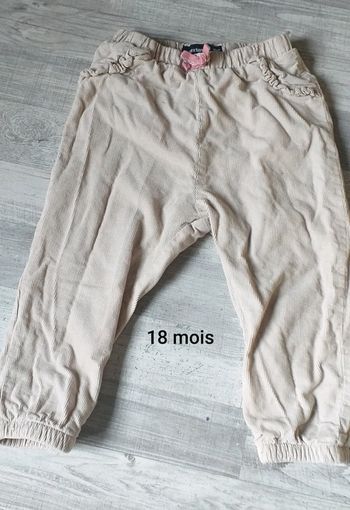 Pantalon velours