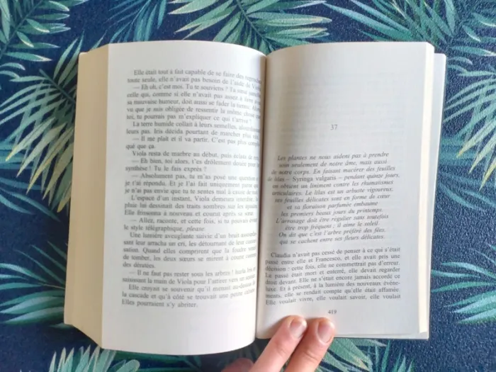 Livre Le jardin des fleurs secrètes - photo numéro 4