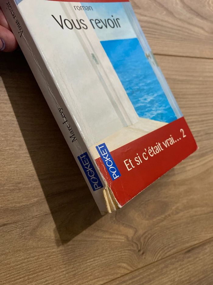 Et si c’était vrai, vous revoir Marc Levy - photo numéro 2