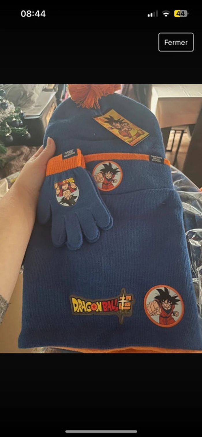 Ensemble dragon ball