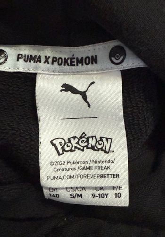 Pulls Pokémon - photo numéro 2