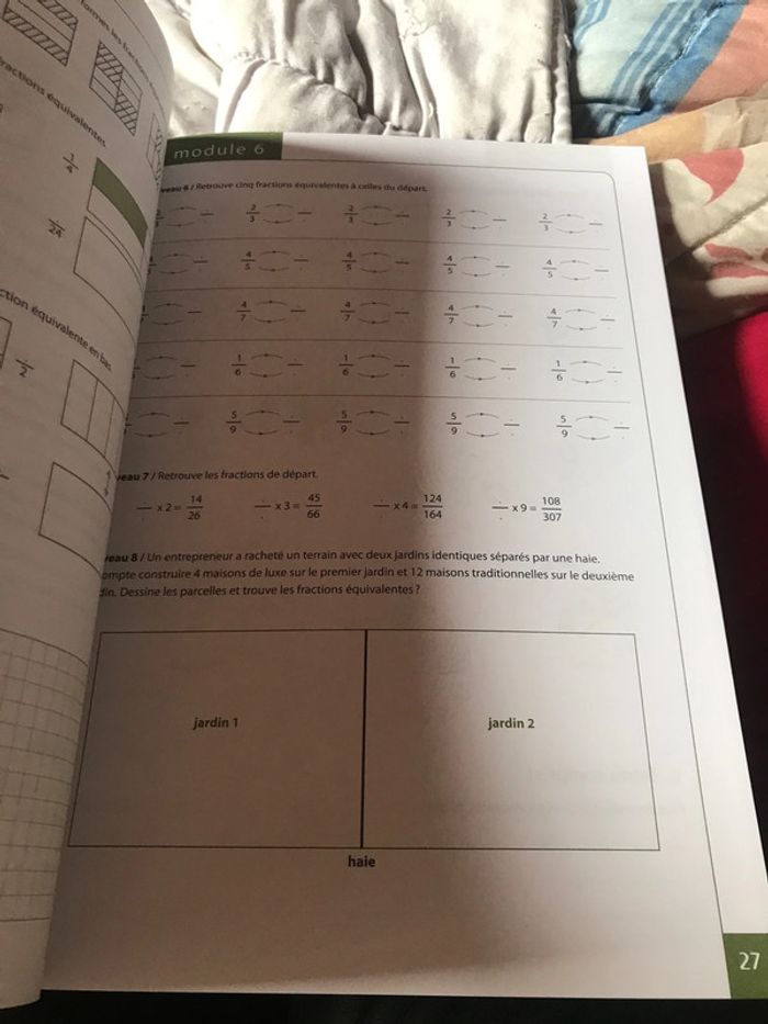 Tatou 5 math plantyn - photo numéro 11