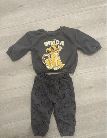 Ensembles Simba