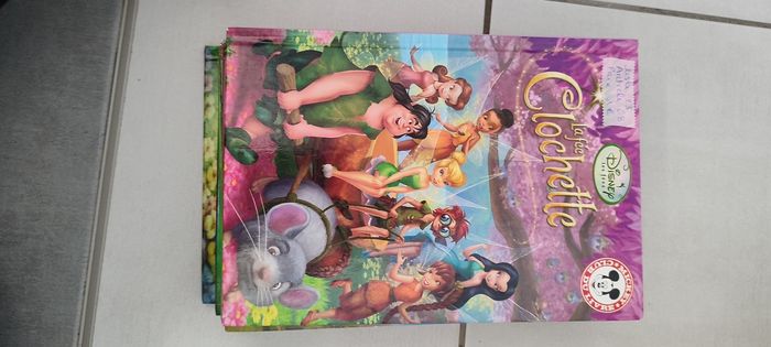 Livre disney - photo numéro 2