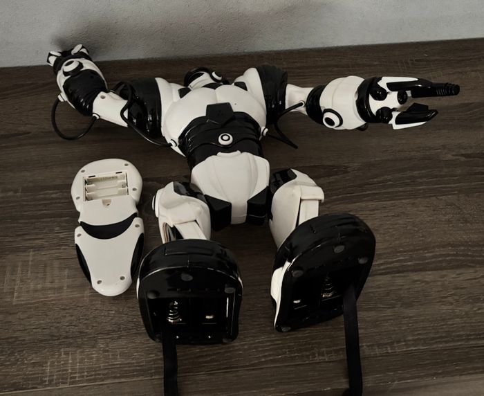 Robot Interactif - photo numéro 7