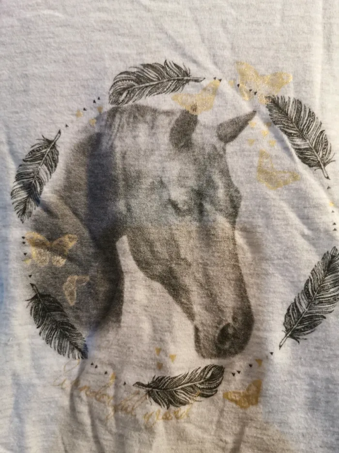 Pull chevaux - photo numéro 2