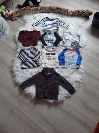 Lot de 6 tshirts et 1 gilet et 1 sweat dinosaure 12 mois neufs