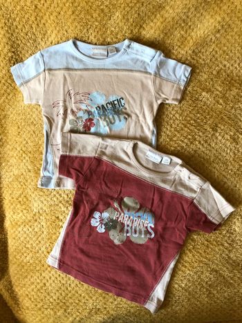Lot de 2 tee shirt 12M