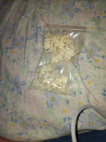 Lot d une 20taine de pinces à cheveux  étoiles beige