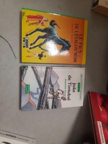 Lot 2 livres bibliothèque verte