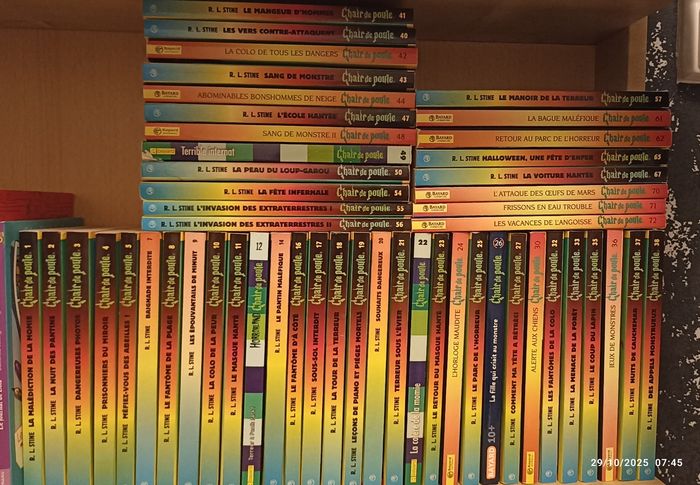 Livres Chair de Poule 2€ l'unité