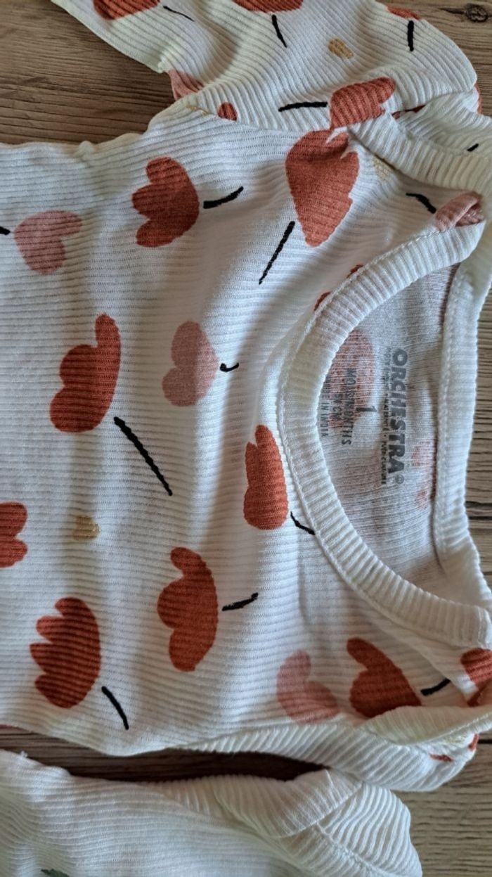 2 bodies ML 1mois - photo numéro 3