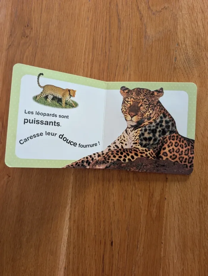 Livre à toucher au Zoo - photo numéro 3