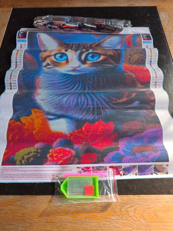Diamond painting neuf 
