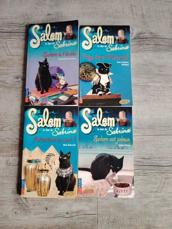 Lot de 4 livres "Salem le chat de Sabrina"