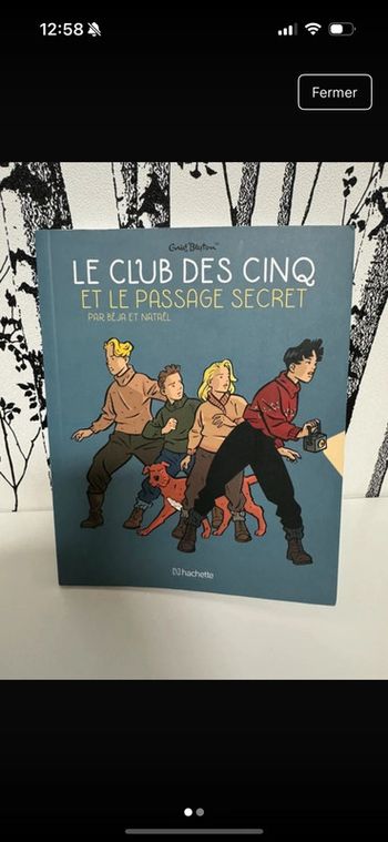 Livre Le Club des cinq et le passage Secret