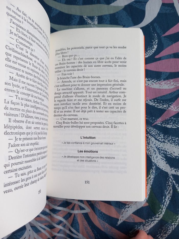 Le bazar du zèbre à pois - photo numéro 4