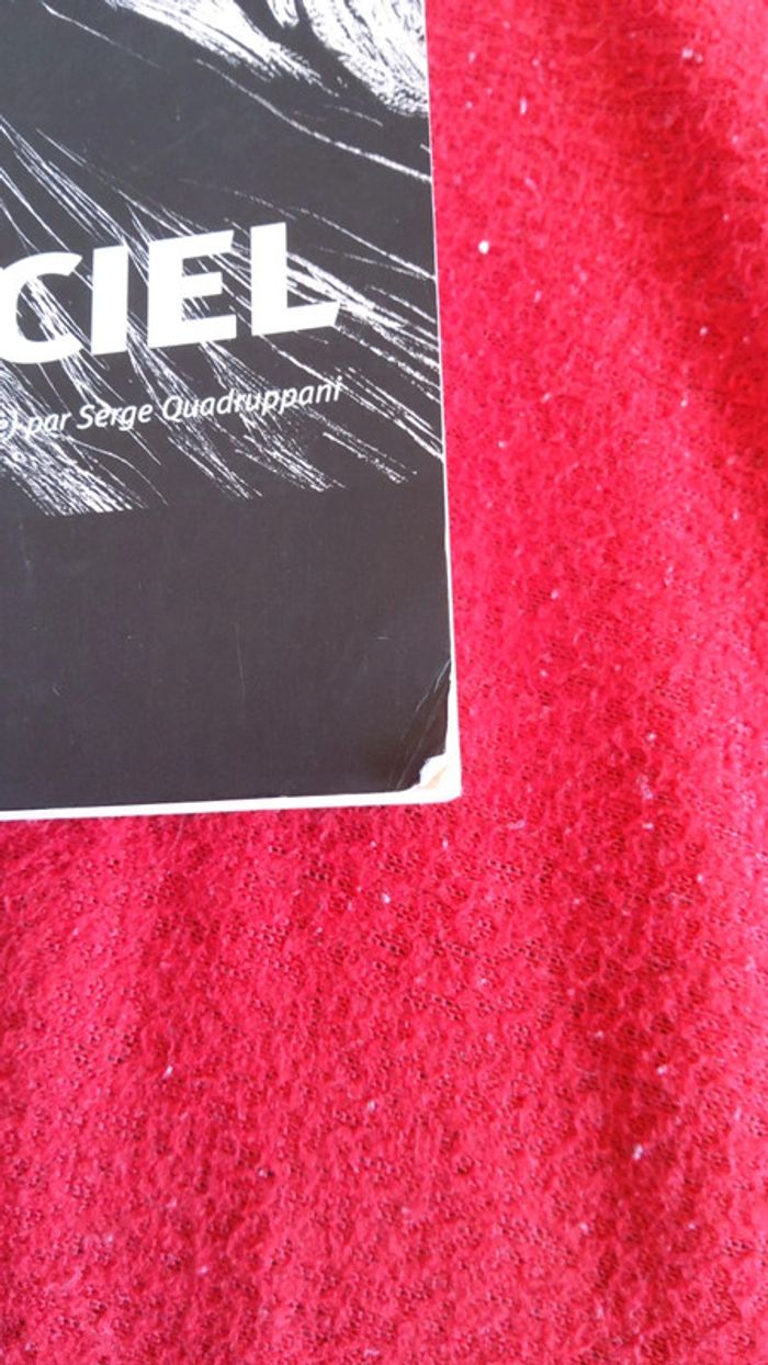 Sang du ciel - Marcello Fois - photo numéro 5