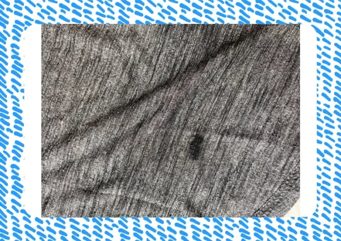 Sweat manches 3/4 - photo numéro 3