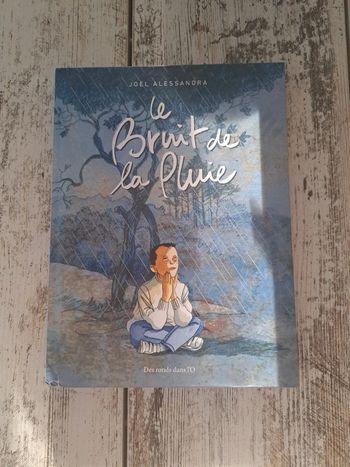 Livre la bruit de la pluie