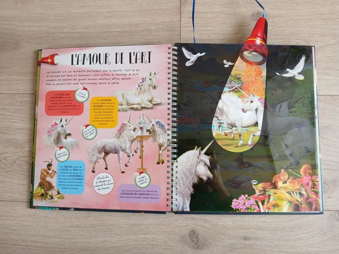 Livre Lanterne magique, pars à la recherche des Licornes neuf - photo numéro 3