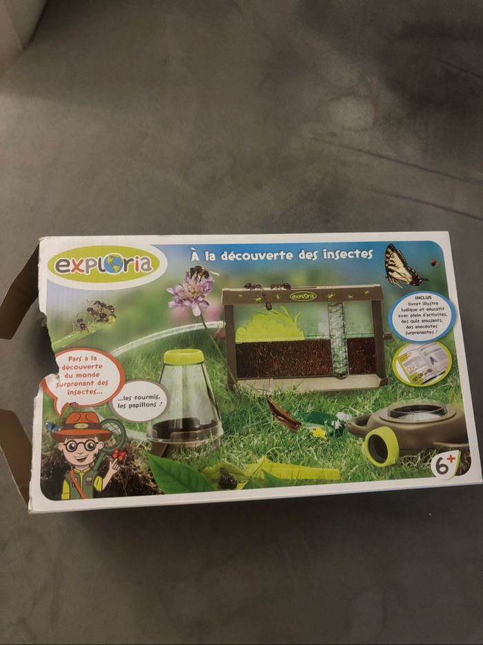 À la découverte des insectes 6+