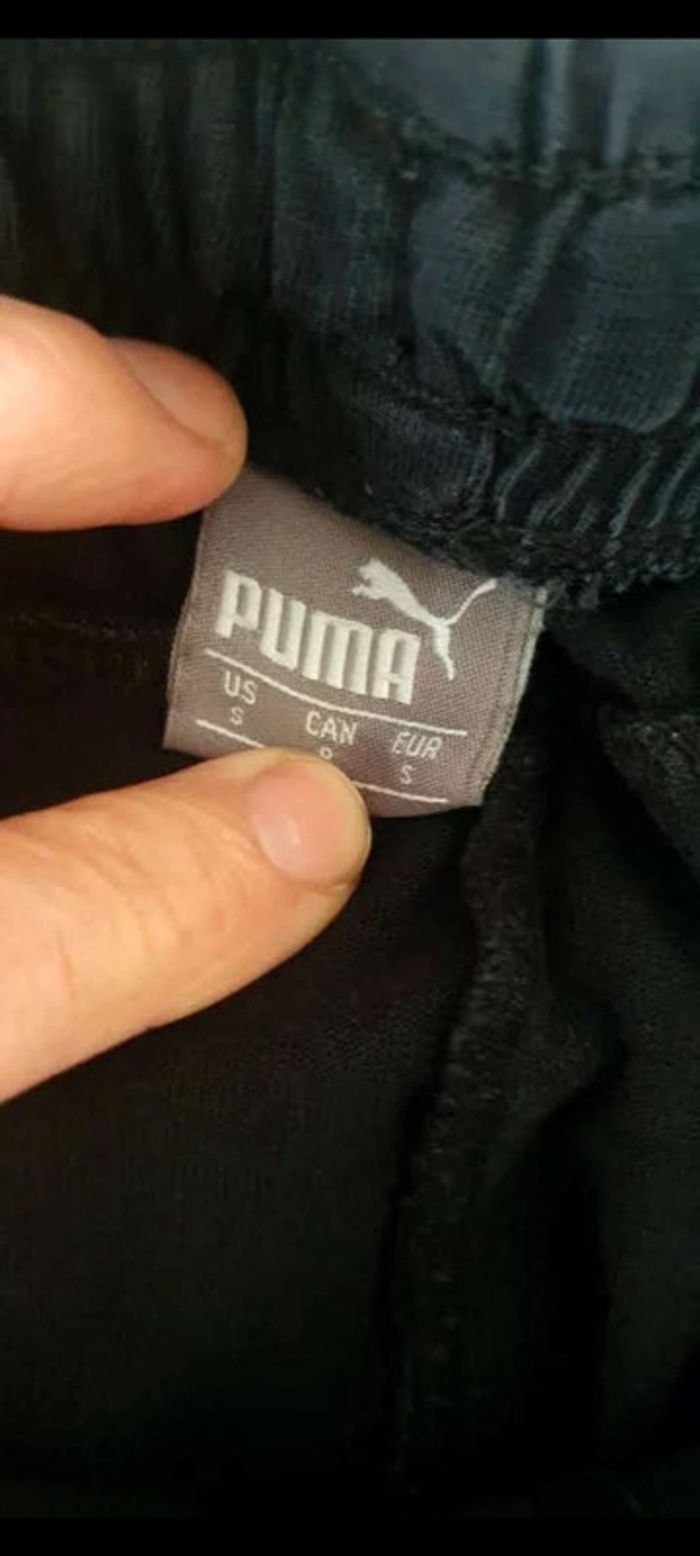 Short puma - photo numéro 3