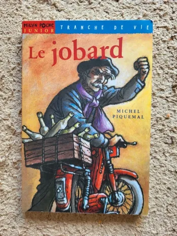 Roman jeunesse "Le jobard" de Michel Piquemal
