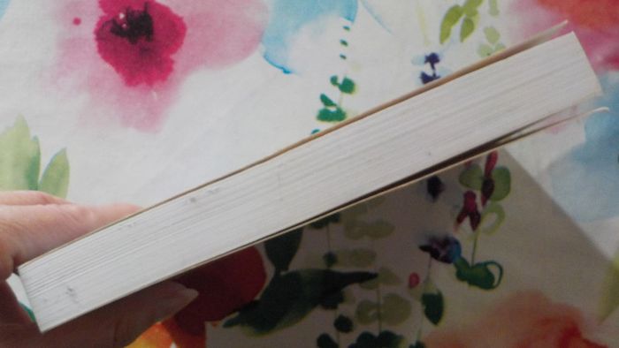 La malédiction des Hallman de Ross Macdonald Ed. 10/18 - photo numéro 4