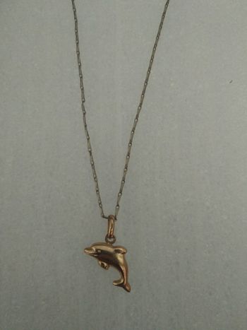 Chaîne avec médaille Dauphin 🐬